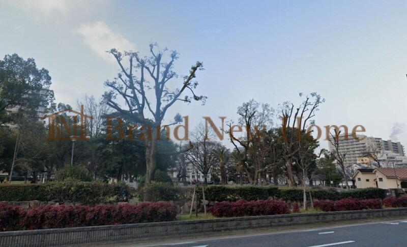 公園