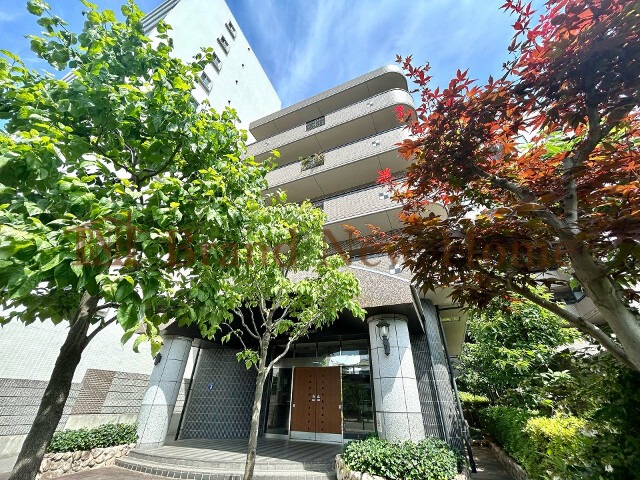 敷地内・建物