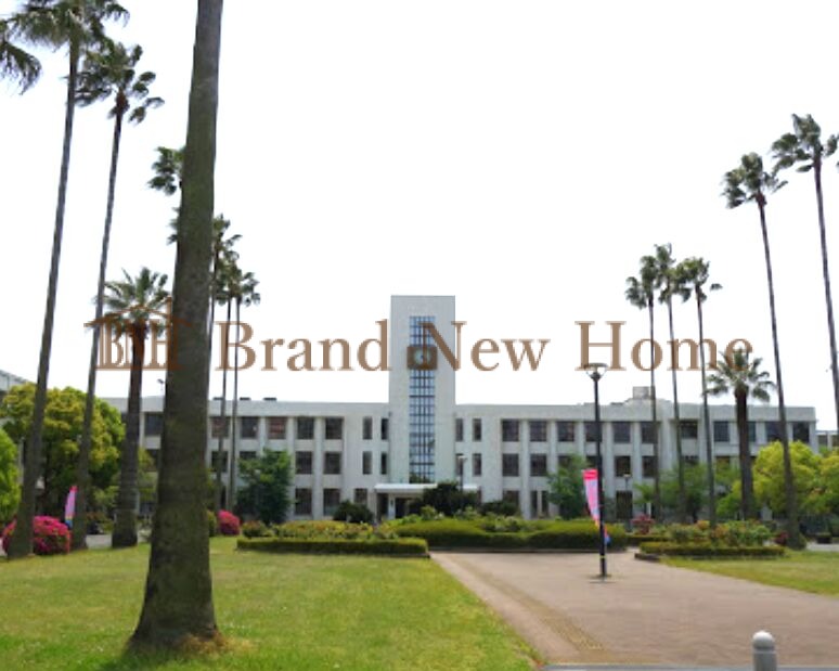 大学